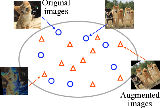Figure 3 for Faster AutoAugment: Learning Augmentation Strategies using Backpropagation
