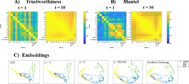 Figure 1 for Visualizing High Dimensional Dynamical Processes