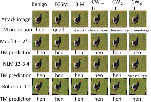 Figure 2 for Cross-Layer Strategic Ensemble Defense Against Adversarial Examples