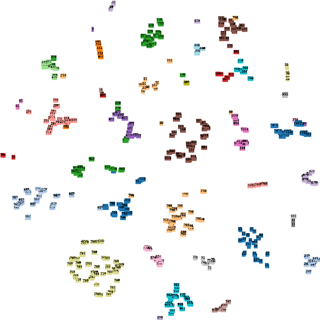 Figure 1 for Individual common dolphin identification via metric embedding learning