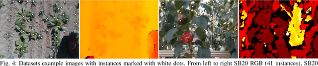 Figure 4 for Explicitly incorporating spatial information to recurrent networks for agriculture