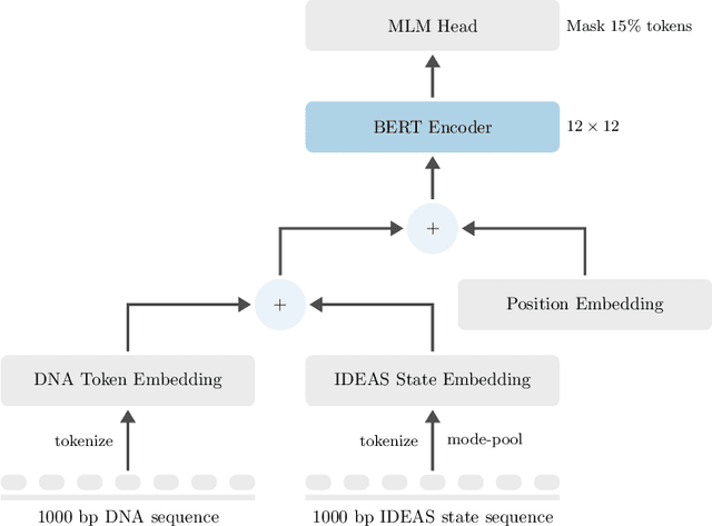 Figure 1 for Epigenomic language models powered by Cerebras