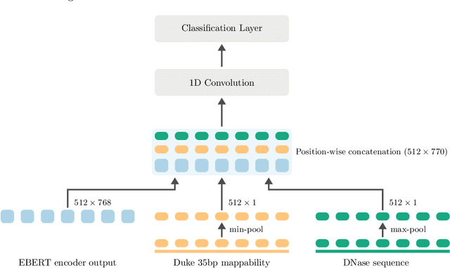 Figure 3 for Epigenomic language models powered by Cerebras
