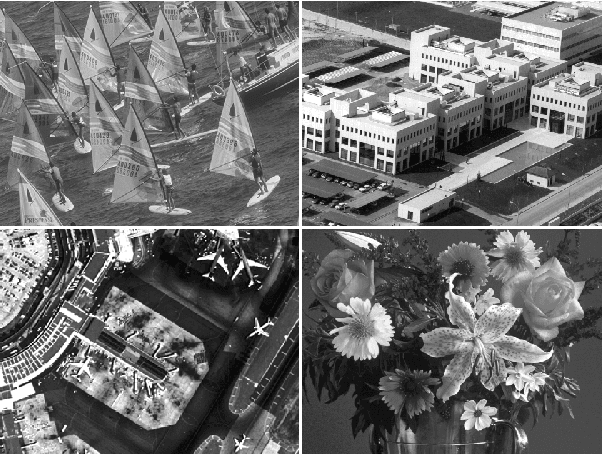 Figure 3 for A hybrid MLP-PNN architecture for fast image superresolution