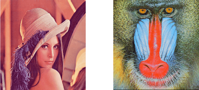 Figure 1 for Reduced Basis Decomposition: a Certified and Fast Lossy Data Compression Algorithm