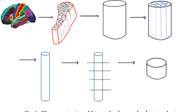 Figure 2 for Naming Schema for a Human Brain-Scale Neural Network