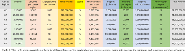 Figure 1 for Naming Schema for a Human Brain-Scale Neural Network
