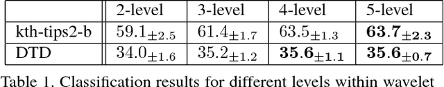Figure 2 for Wavelet Convolutional Neural Networks