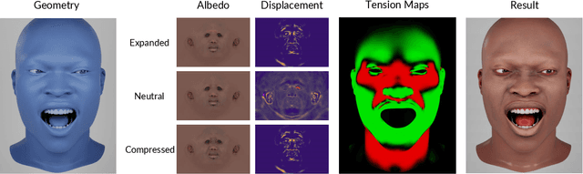 Figure 3 for Mesh-Tension Driven Expression-Based Wrinkles for Synthetic Faces