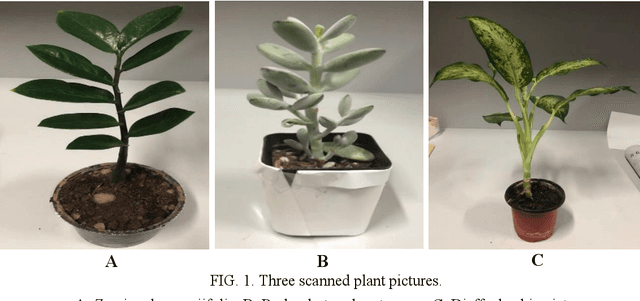 Figure 2 for Automated classification of stems and leaves of potted plants based on point cloud data
