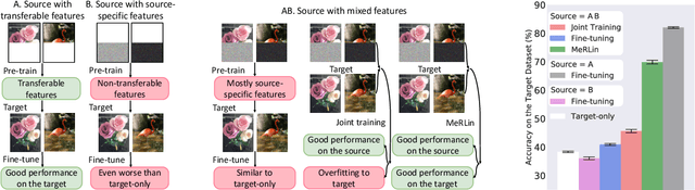 Figure 1 for Meta-learning Transferable Representations with a Single Target Domain
