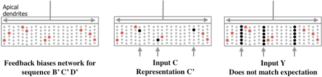 Figure 4 for Why Neurons Have Thousands of Synapses, A Theory of Sequence Memory in Neocortex