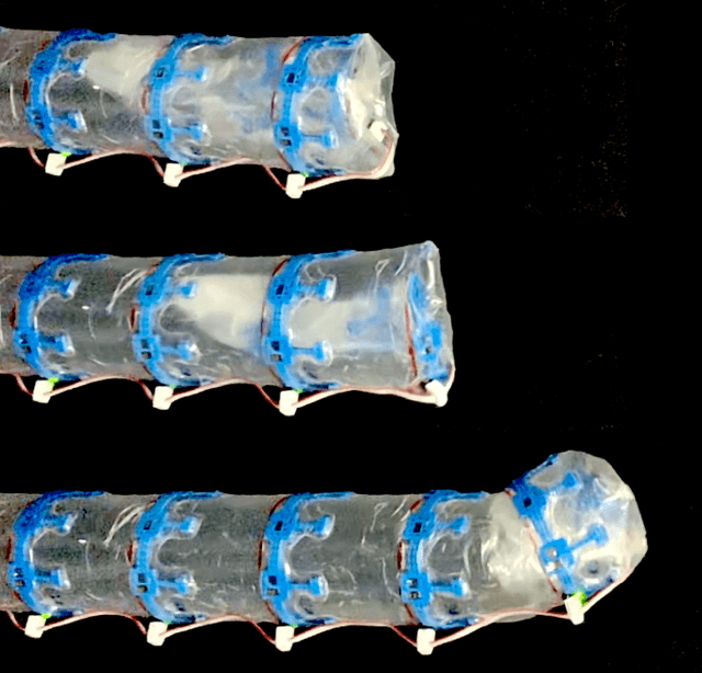 Figure 1 for Distributed Sensor Networks Deployed Using Soft Growing Robots