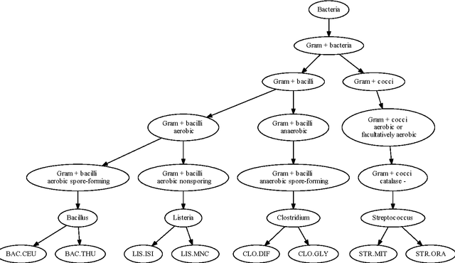 Figure 1 for Benchmark of structured machine learning methods for microbial identification from mass-spectrometry data