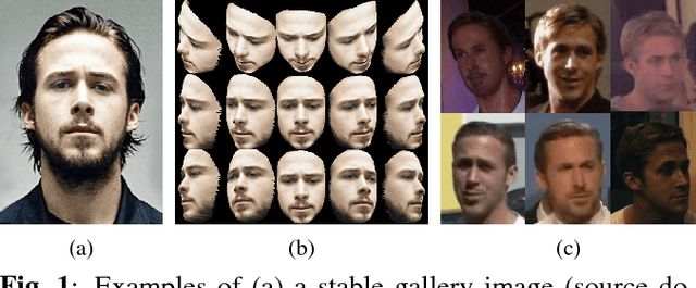 Figure 1 for SSPP-DAN: Deep Domain Adaptation Network for Face Recognition with Single Sample Per Person