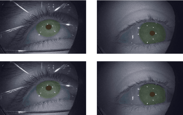 Figure 4 for OpenEDS2020: Open Eyes Dataset