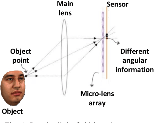 Figure 1 for CapsField: Light Field-based Face and Expression Recognition in the Wild using Capsule Routing
