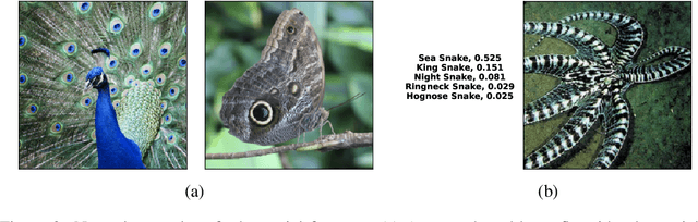 Figure 3 for One Thing to Fool them All: Generating Interpretable, Universal, and Physically-Realizable Adversarial Features