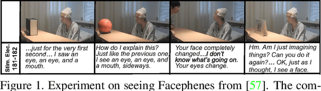 Figure 1 for The Selectivity and Competition of the Mind's Eye in Visual Perception