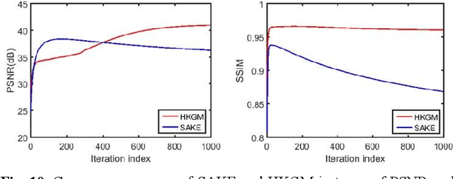 Figure 2 for One-shot Generative Prior Learned from Hankel-k-space for Parallel Imaging Reconstruction