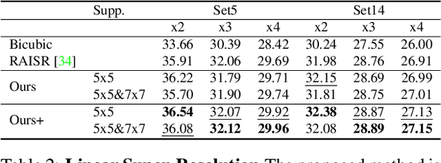 Figure 4 for Pixel Adaptive Filtering Units