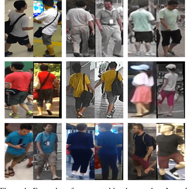 Figure 1 for Augmented Hard Example Mining for Generalizable Person Re-Identification