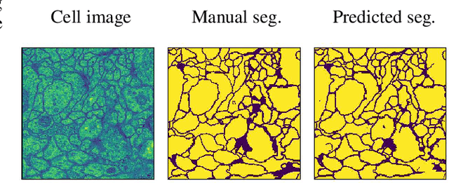 Figure 3 for The Role of Regularization in Shaping Weight and Node Pruning Dependency and Dynamics