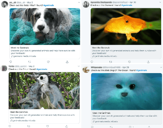 Figure 3 for Interpolating GANs to Scaffold Autotelic Creativity