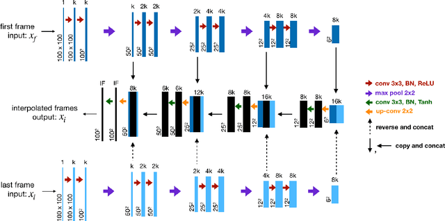 Figure 1 for W-Cell-Net: Multi-frame Interpolation of Cellular Microscopy Videos