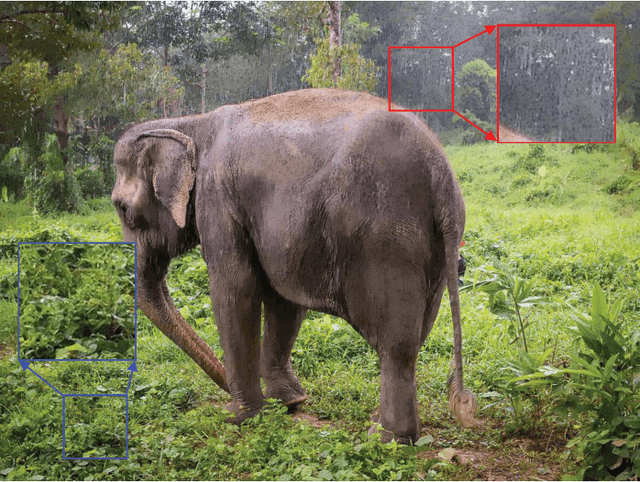 Figure 1 for Subjective and Objective De-raining Quality Assessment Towards Authentic Rain Image