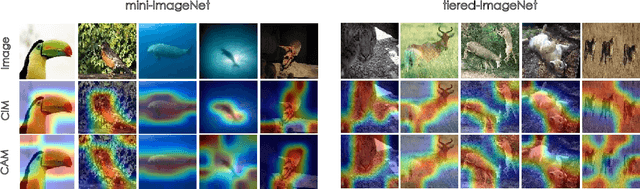 Figure 4 for CIM: Class-Irrelevant Mapping for Few-Shot Classification