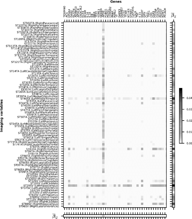 Figure 3 for Multilevel Modeling with Structured Penalties for Classification from Imaging Genetics data