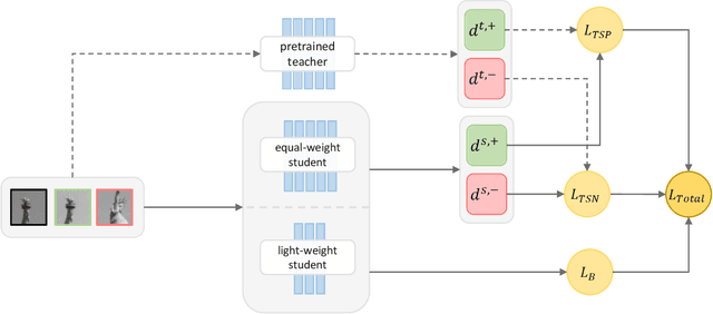 Figure 1 for Descriptor Distillation: a Teacher-Student-Regularized Framework for Learning Local Descriptors