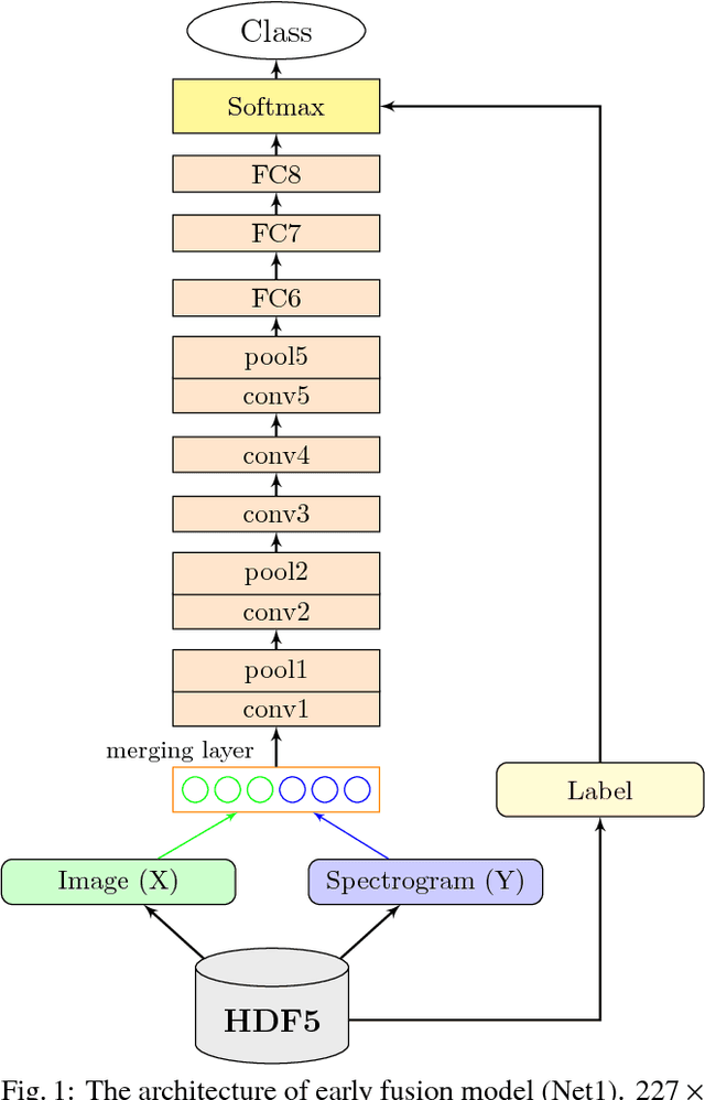 Figure 1 for Cross-domain Deep Feature Combination for Bird Species Classification with Audio-visual Data