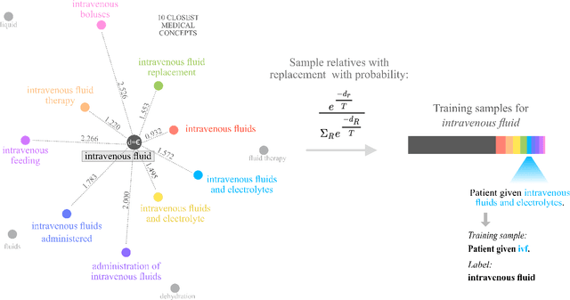 Figure 3 for Training without training data: Improving the generalizability of automated medical abbreviation disambiguation