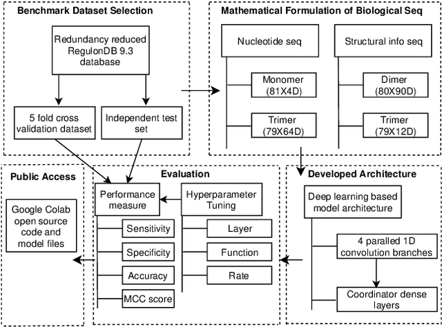 Figure 1 for iPromoter-BnCNN: a Novel Branched CNN Based Predictor for Identifying and Classifying Sigma Promoters