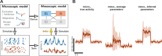 Figure 1 for Inference of a mesoscopic population model from population spike trains