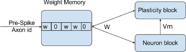 Figure 1 for Membrane-Dependent Neuromorphic Learning Rule for Unsupervised Spike Pattern Detection