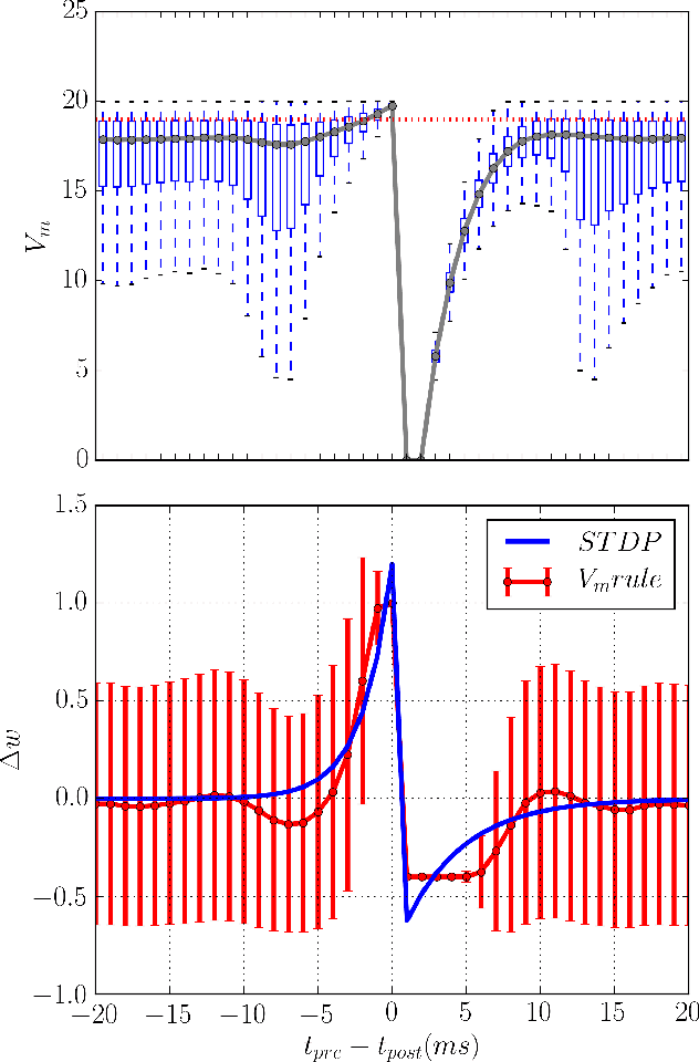 Figure 2 for Membrane-Dependent Neuromorphic Learning Rule for Unsupervised Spike Pattern Detection
