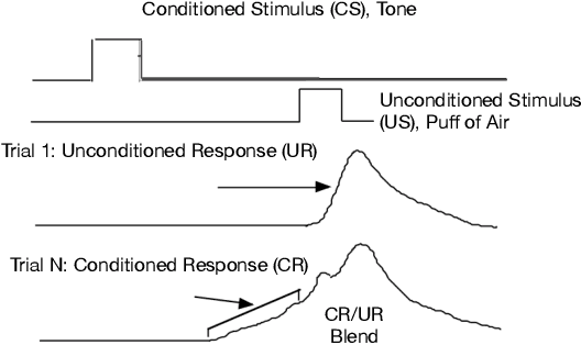 Figure 1 for Testbeds for Reinforcement Learning