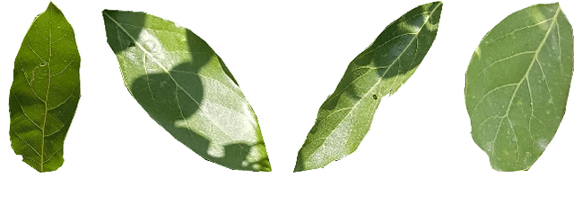 Figure 3 for Data Augmentation for Leaf Segmentation and Counting Tasks in Rosette Plants
