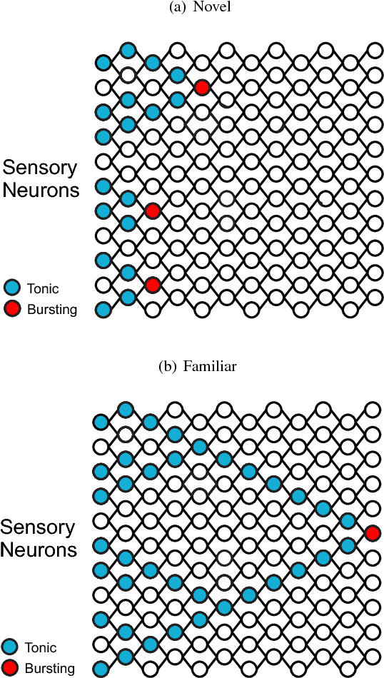 Figure 1 for A general learning system based on neuron bursting and tonic firing