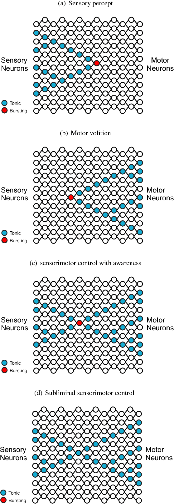 Figure 3 for A general learning system based on neuron bursting and tonic firing