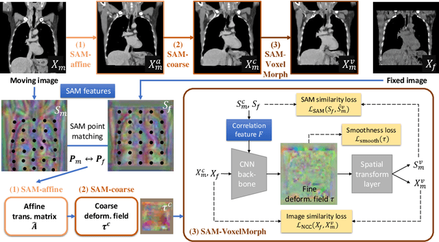 Figure 1 for SAME: Deformable Image Registration based on Self-supervised Anatomical Embeddings