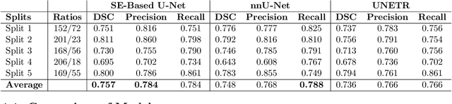 Figure 4 for Automatic Segmentation of Head and Neck Tumor: How Powerful Transformers Are?
