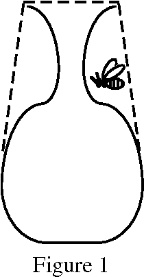 Figure 1 for La représentation formelle des concepts spatiaux dans la langue
