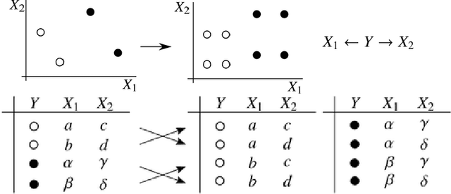 Figure 1 for Incorporating Causal Graphical Prior Knowledge into Predictive Modeling via Simple Data Augmentation