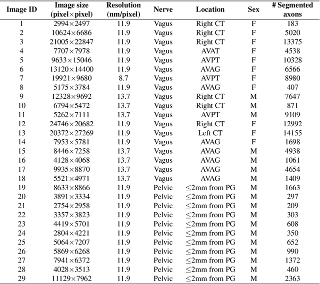Figure 2 for A novel statistical methodology for quantifying the spatial arrangements of axons in peripheral nerves