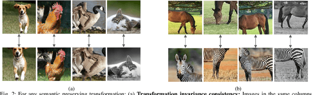 Figure 2 for Extending Momentum Contrast with Cross Similarity Consistency Regularization