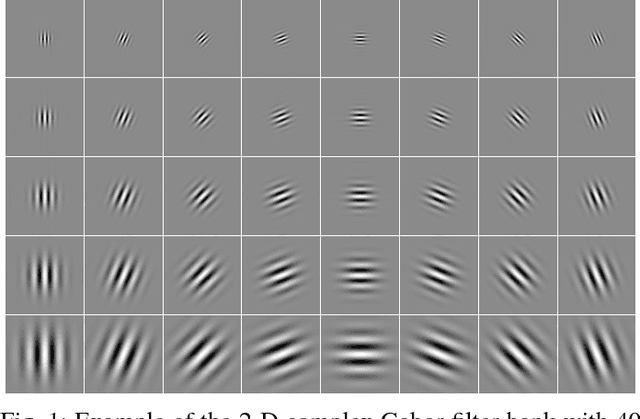 Figure 1 for Fast 2-D Complex Gabor Filter with Kernel Decomposition